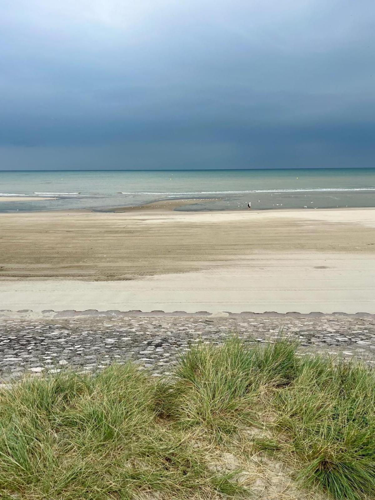 L Oree De La Pinede Hardelot Plage A 800 Metres De La Mer Sous Les Pins Exterior photo